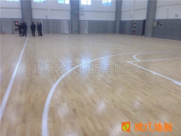 体育馆专用木地板有什么特点